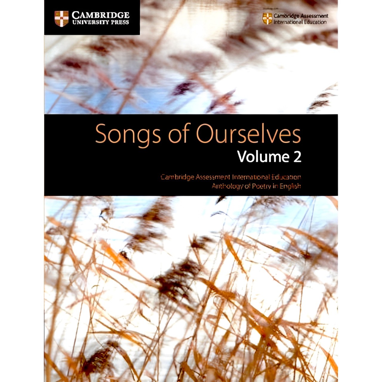 Songs of Ourselves Volume 2 (9781108462280)